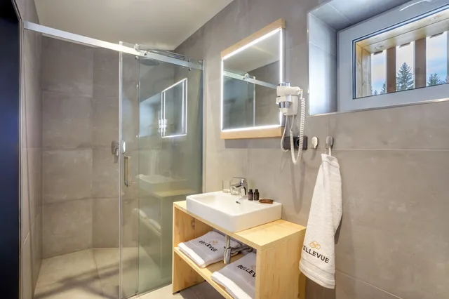 غرفة سوبيريور بسرير كوين بشرفة مع أريكة، Bellevue Hotel 4/4