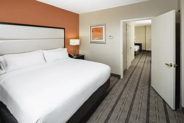 غرفة بسرير كينج لذوي الإعاقة، Holiday Inn Express And Suites Duluth Mall Area 1/1