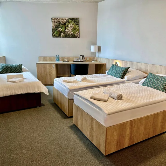 غرفة قياسية ثلاثية، Hotel D1 1/4