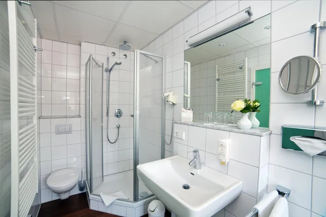 غرفة اقتصادية بسرير كينج، Stadthotel Freiburg 4/6