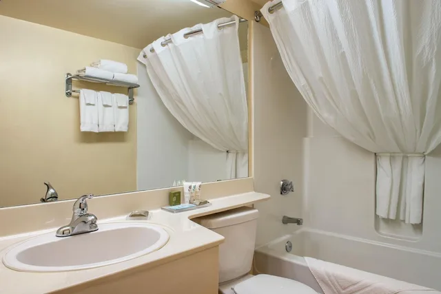1 Bedroom, Deluxe, Suite, King Bed, Sofa, Travelodge Suites by Wyndham Regina / Eastgate Bay 3/4