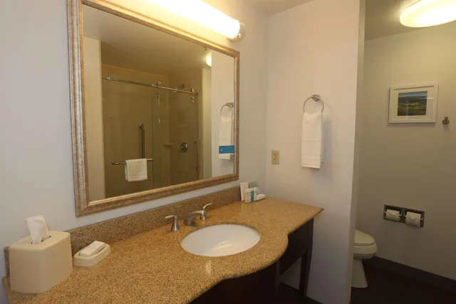 استوديو بسرير كينج، Hampton Inn Owego 3/3