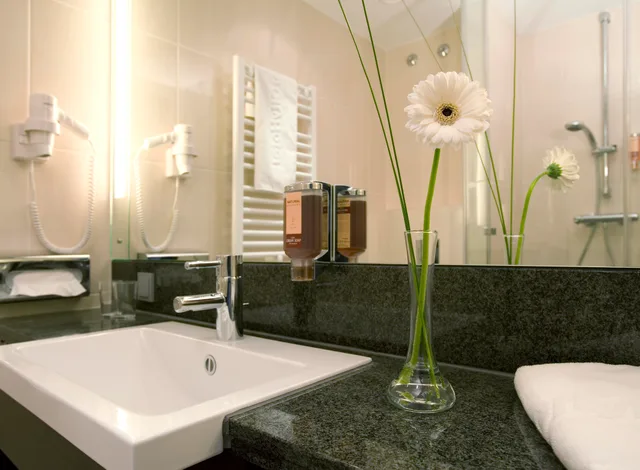 غرفة بزنس، Intercityhotel Dresden 6/7