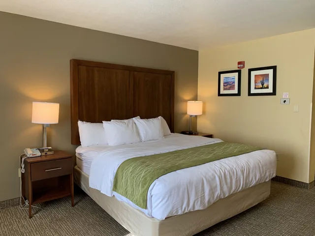 جناح بسرير كينج، Comfort Inn Green Valley 4/5