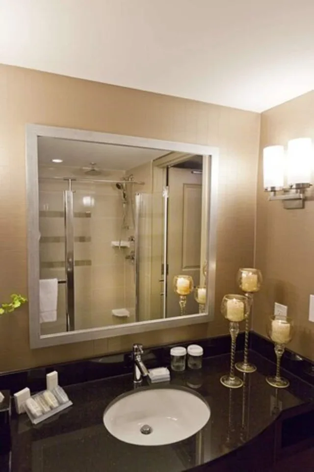 Evolution, Suite, King Bed، Hilton Garden Inn Brampton 3/3