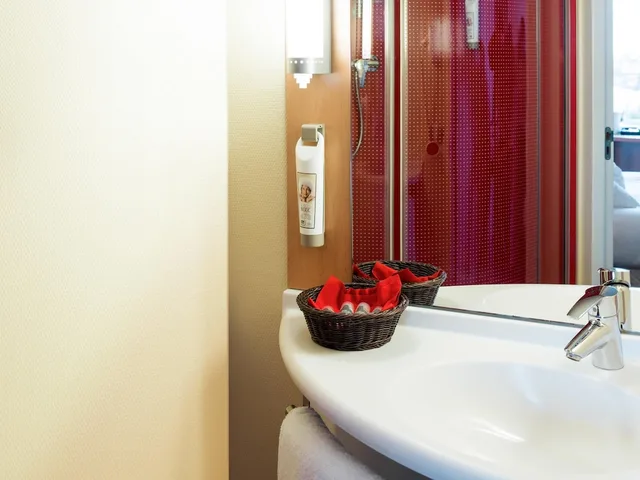غرفة قياسية بسريرين منفصلين، IBIS LEIDEN CENTRE 7/10
