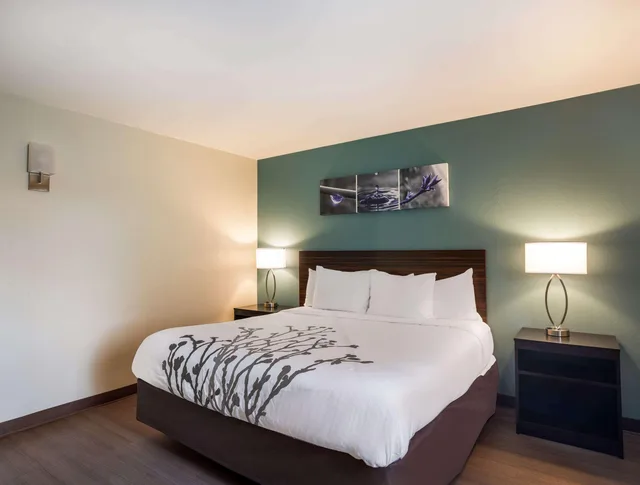 Upgrade, Business, King Bed، Sleep Inn Savannah Midtown 1/2