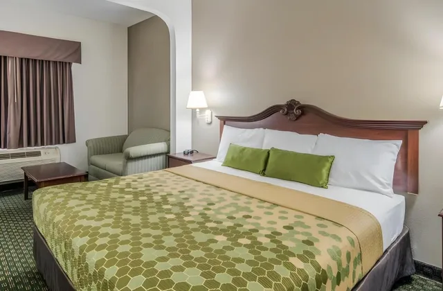 غرفة بسرير كينج، Econo Lodge Inn & Suites Sealy 6/10