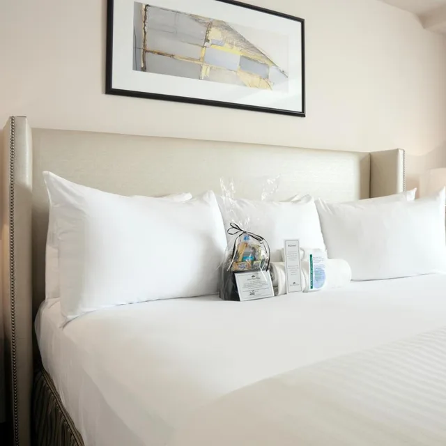 Plaza, Deluxe, Suite, King Bed, Accessible، State Plaza Hotel 1/3