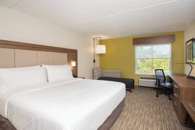 غرفة قياسية بسرير كينج لذوي الإعاقة، HOLIDAY INN EXPRESS CHELMSFORD 1/3