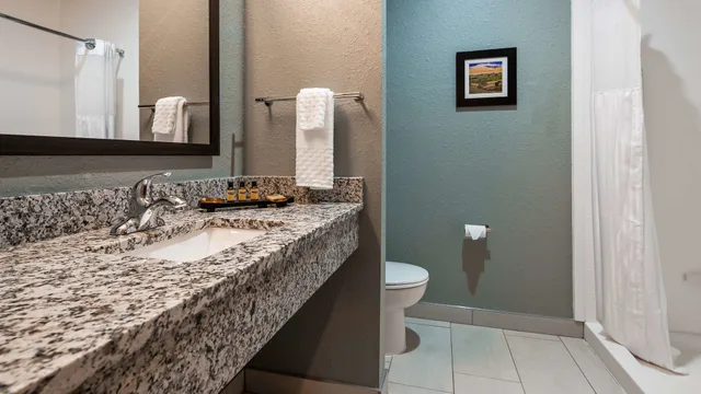 غرفة قياسية بسرير كينج، Best Western Plus Owensboro 4/4