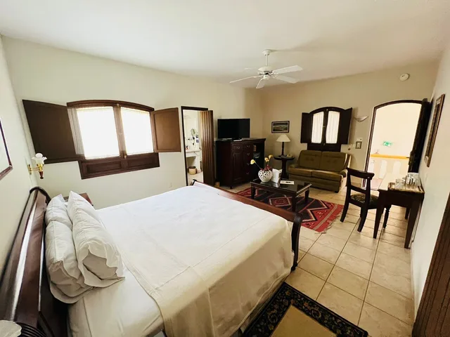 غرفة جونيور بسرير كينج بحوض استحمام، Hacienda Los Laureles 5/10