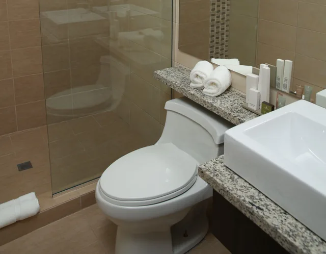 غرفة ديلوكس بسريرين مزدوجين، ARANJUEZ HOTEL & SUITES 5/6