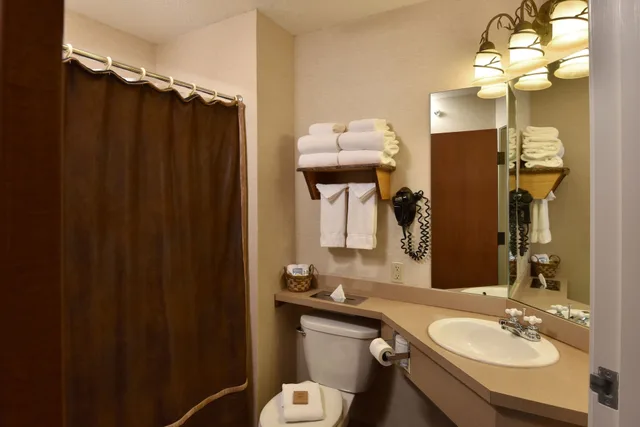 Expanded, King Bed, King and Queen Bed, Sofa، Stoney Creek Hotel Peoria 5/5