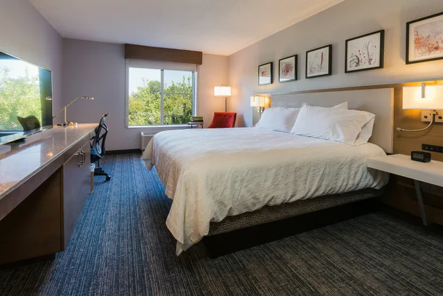 غرفة بسرير كينج لذوي الإعاقة، Hilton Garden Inn Atlanta Northpoint Hotel 5/9