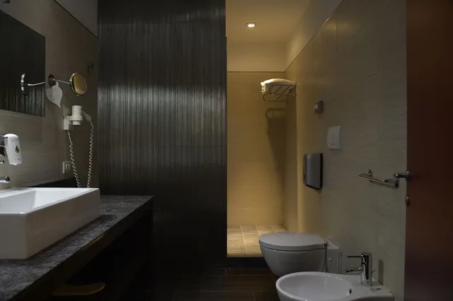 غرفة قياسية بسرير كينج يُسمح فيها بالحيوانات الأليفة، Best Western Plus Soave Hotel 2/2