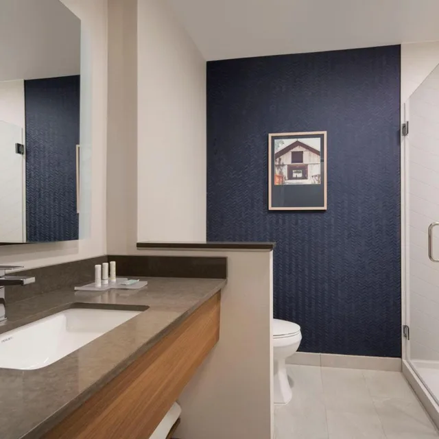 جناح تنفيذي بسرير كينج مع أريكة، Fairfield Inn & Suites by Marriott Franklin Cool Springs 5/5
