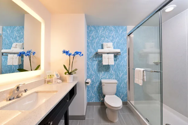 غرفة قياسية بسرير كينج لذوي الإعاقة، Holiday Inn Express & Suites West Ocean City 4/5