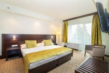 غرفة قياسية بسرير مزدوج بشرفة، Hunguest Hotel Erkel - Durer Wing 1/1