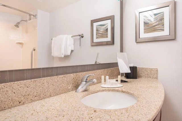 غرفة بسرير كينج مع أريكة بحوض استحمام لذوي الإعاقة، Courtyard Silver Spring Downtown 6/6
