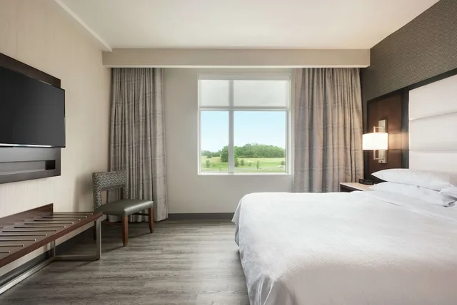 2 Rooms, Suite, King Bed, Sofa, Embassy Suites By Hilton Noblesville Indianapolis Conference Center 1/3