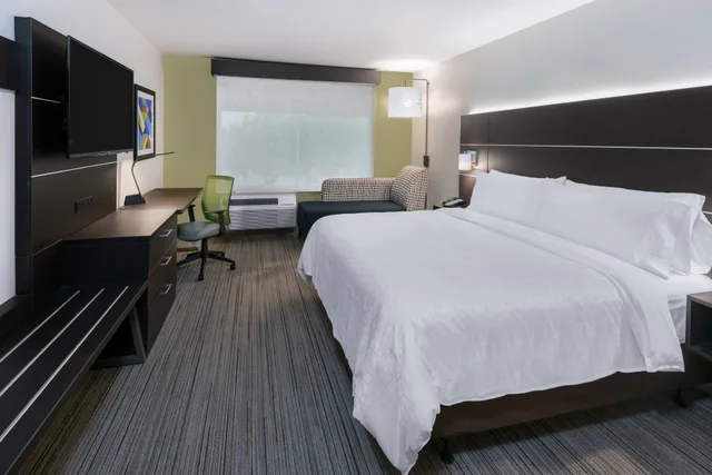 Leisure, King Bed، Holiday Inn Express & Suites Sugar Land SE - Missouri City 1/2