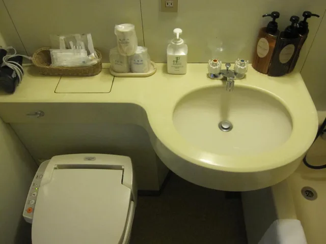 غرفة مفردة، Asahikawa Toyo Hotel 8/13