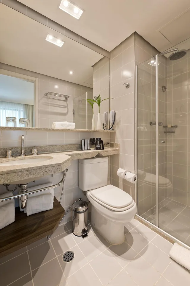 غرفة كلاسيكية، Melia Ibirapuera 3/3