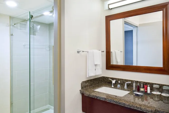 Room, King Bed, Balcony, Accessible, Marriott Park Ridge 2/2