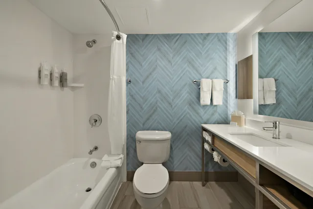 جناح بسرير كينج لذوي الإعاقة، Hilton Garden Inn Williamsburg 3/3