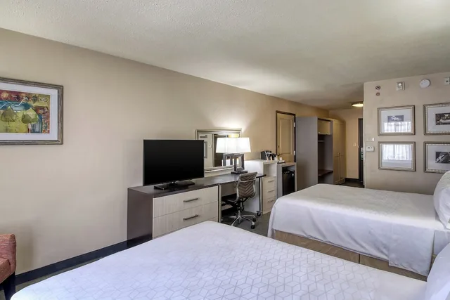 غرفة قياسية بسرير فردي لذوي الإعاقة، Holiday Inn Hotel Suites Atlanta Airport North 2/4