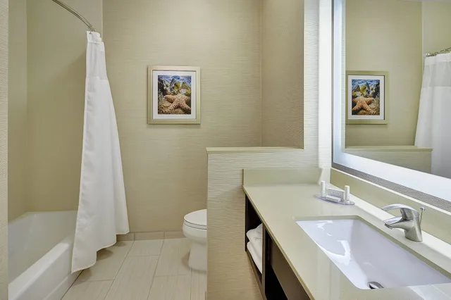 استوديو بسرير كينج مع أريكة، Fairfield Inn & Suites San Diego Carlsbad 2/4
