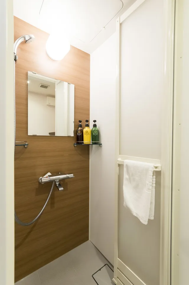 Moderate, Twin Beds، Dormy Inn Premium Wakayama 8/8
