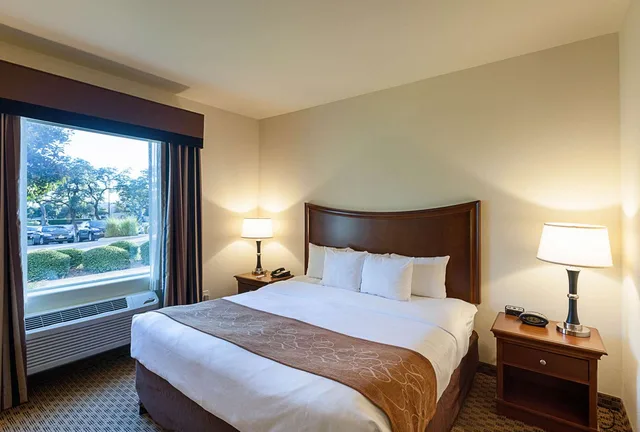 جناح بسرير كينج، Comfort Suites San Antonio North - Stone Oak 1/3