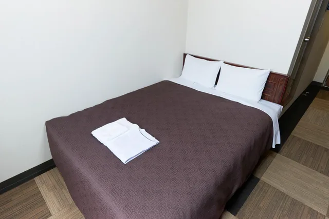 غرفة بسرير مزدوج، Select Inn Fujisan Gotemba 5/8