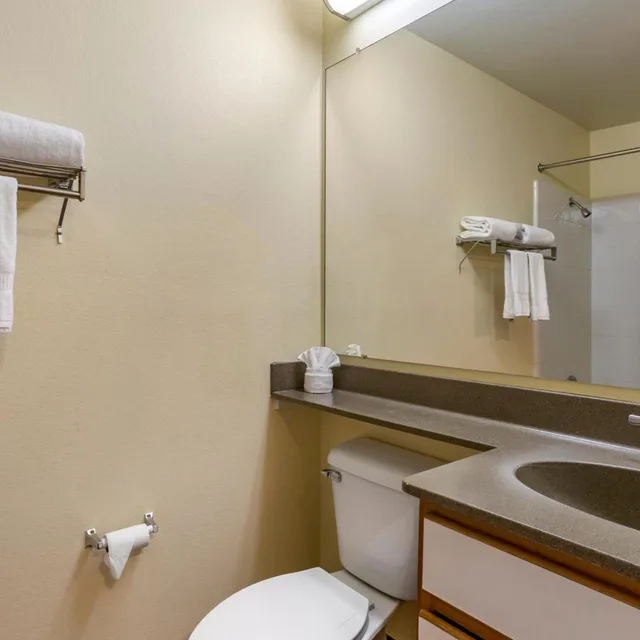 استوديو بسرير كينج، Suburban Studios Albuquerque Uptown 4/4