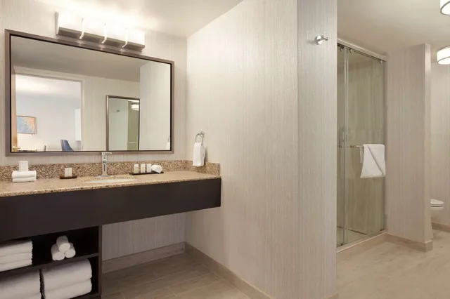 جناح غراند بسرير كينج مع أريكة، Embassy Suites By Hilton San Luis Obispo 2/2