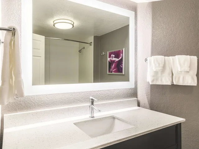 Deluxe, King Bed, La Quinta Inn & Suites by Wyndham Austin Airport 2/3