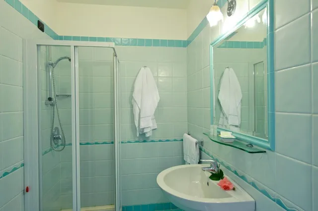 غرفة قياسية مفردة بسرير مزدوج، Hotel La Pergola Sorrento 1/2