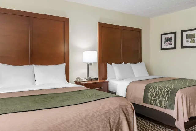 غرفة قياسية بسريرين كوين، Comfort Inn - Pocono Mountains 5/6