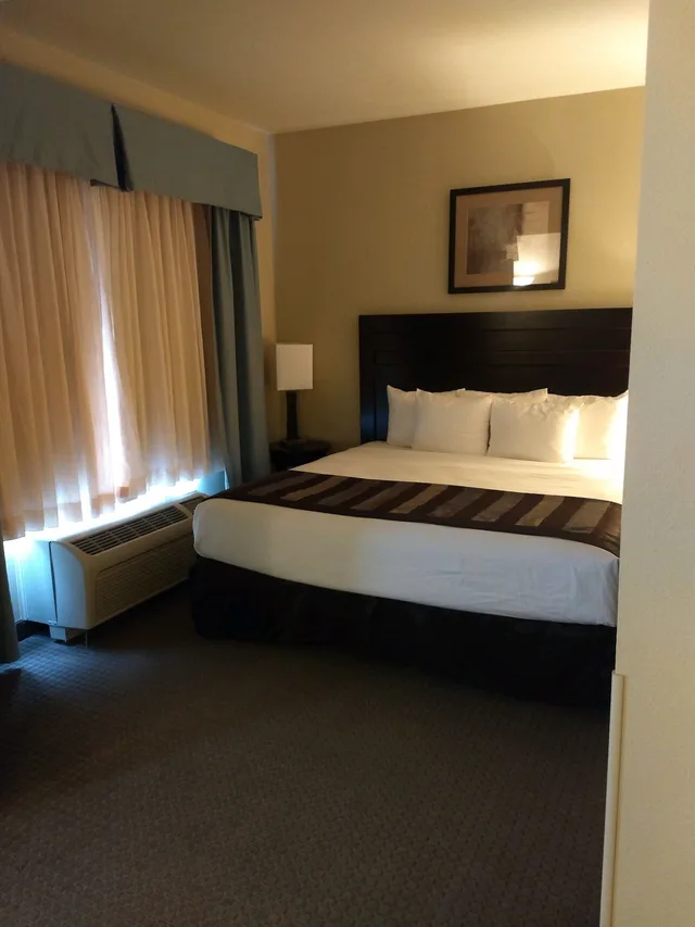 جناح استوديو بسرير كينج، Wingate by Wyndham New Braunfels 1/5