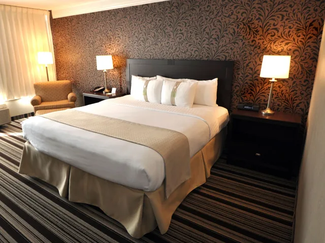 غرفة قياسية بسرير كينج لذوي الإعاقة، Holiday Inn Cleveland-Mayfield 3/6