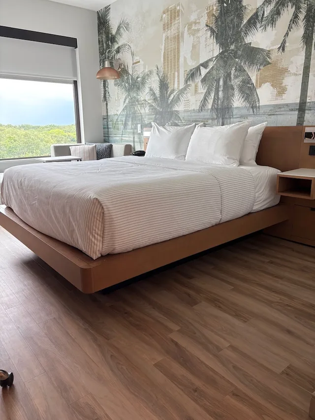 غرفة قياسية بسرير كينج، Cambria Hotel Tampa-Brandon FL 3/6