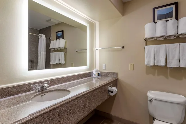 جناح بسرير كينج مع أريكة، Comfort Suites Houston near Medical Center- NRG Stadium 4/4