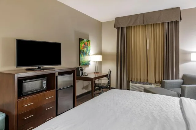 Standard, King Bed, Accessible, Holiday Inn Express Hotel & Suites Indio - Coachella Valley 1/3