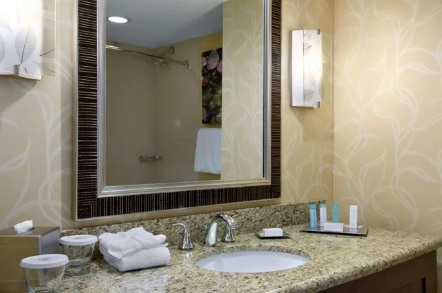 غرفة بسرير كينج، Hilton Branson Convention Center 4/4