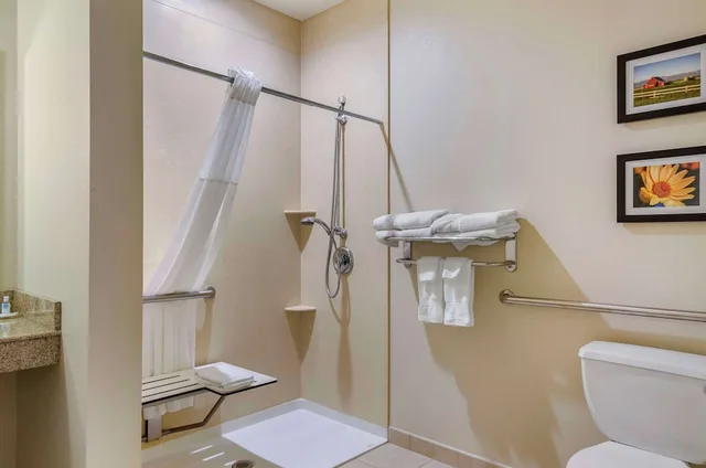 جناح بسرير كينج مع أريكة لذوي الإعاقة، Comfort Suites Helena Airport 7/7