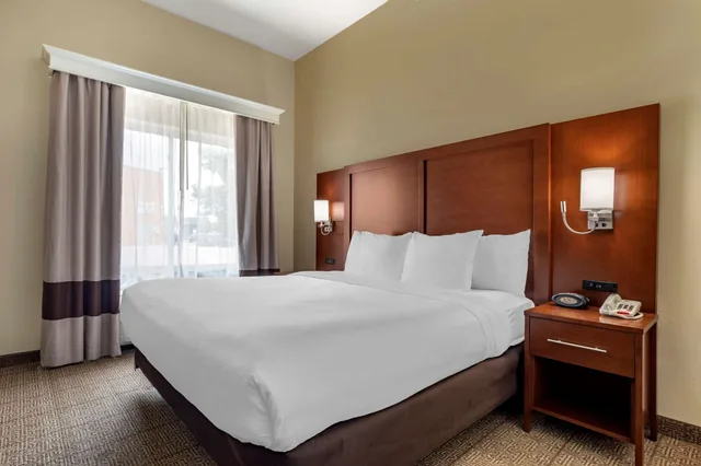 جناح بسرير كينج مع أريكة لذوي الإعاقة، Comfort Suites West Dallas Cockrell Hill 1/3
