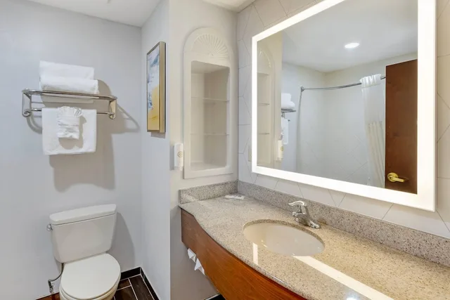 Efficiency, Suite, King Bed, Sofa، Comfort Suites East Brunswick - South River 3/3