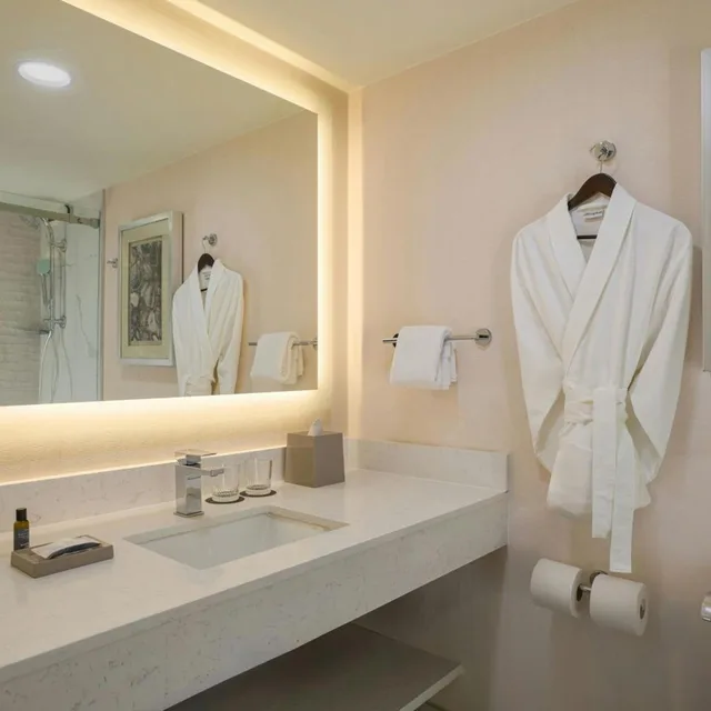 غرفة تقليدية بسرير كينج بحوض استحمام لذوي الإعاقة، Westin Atlanta Airport Hotel 9/10